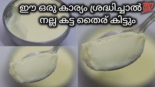 ഈ ഒരു കാര്യം ശ്രദ്ധിച്ചാൽ നല്ല കട്ട തൈര് വീട്ടിൽ ഉണ്ടാക്കാം||Homemade Thick Curd|Thick Curd Recipe