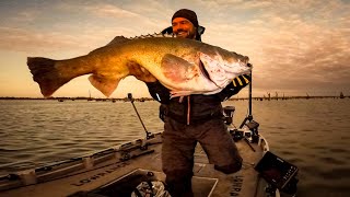 Giant Murray cod! Lake Mulwala fishing swimbaits