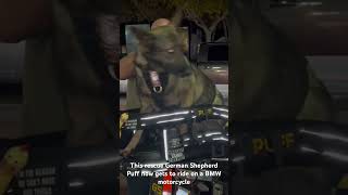 Puff the rescue German Shepherd goes a BMW bike ride