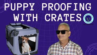 From Chaos to Calm: Crate Train Your Pup in 5 Easy Steps (GNP Sir)