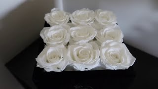 Review Rose Forever New York - Essential White Square Black Velvet Preserved Roses