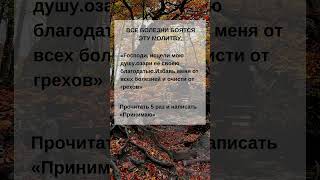 👆 Примите благую весть👆 #shorts #short #господь #shortvideo