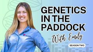 S2E3 | Merinos, Terminals, Maternals... It's Time to Talk SheepGenetics with Peta Bradley