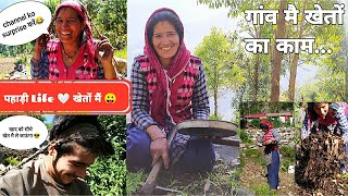 गांव में खेती कैसे करें | Farming in villages of Uttarakhand| BSC ➡️से सीधे कृषि | Mehta brother's