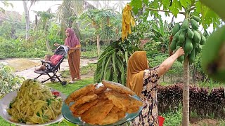 Aktivitas Hidup Di Desa, Memasak Tumis Sayur Pepaya, Daun Bawang Dengan Lauk Bakwan Goreng