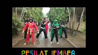 SALAM SEDULURAN _PESILAT INDONESIA #PagarnusaPshtTapaksuciGasmi #Pesilatindonesia