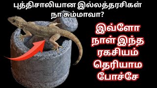 இவ்ளோ நாளா இந்த ரகசியம் தெரியாம போச்சே/kitchen tips in tamil#trending