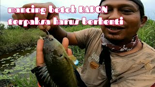 MANCING IKAN BETOK BABON TERPAKSA HARUS BERHENTI ‼️