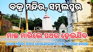 ବହୁତ ବଡ ମାଛ 😲😱 Huma Leaning Temple Mystery | Sambalpur Tourism | chikurout91 || Odisha ! Sambalpur!