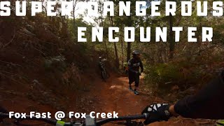 SUPER DANGEROUS ENCOUNTER // Fox Fast PB @ Fox Creek GoPro Run On My Pole Evolink 158