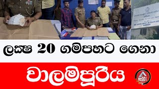 walampuri /gampaha/ලක්‍ෂ 20 ට ගමිපහට ගෙනා වාලමිපූරිය/ව්‍යාපාරිකයන් දෙදෙනා මාටිටු/@ADARATANEWS