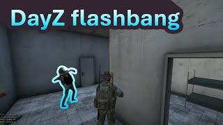 DayZ - Buggy flashbang (2014)