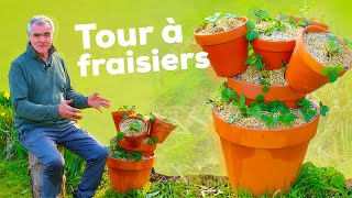 La tour à fraisiers : des kilos de fraises sur une toute petite surface ! Tutoriel étape par étape