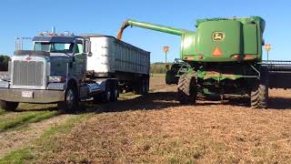 Robert Cope harvest 2017