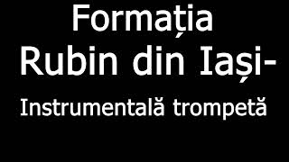 Rubin din Iași- Instrumentală trompetă Moldova