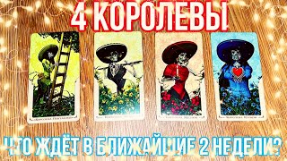 ЧТО ЖДЁТ В БЛИЖАЙШИЕ 2 НЕДЕЛИ?🫣| 4 королевы