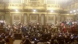 Concierto desde la Goldener Saal (Sala Dorada) de Viena - Marcha Radetzky