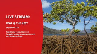 WWF @ The Nest Livestream Day 2 | Climate Week 2023