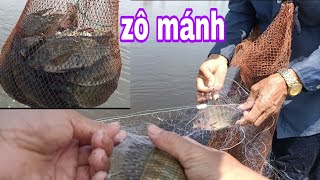 HQC VLog | Một ngày đi giăng lưới của hai cho con - Dính cá gỡ đã tay