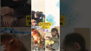 Funny Animal Videos 2023😂 - Funniest Cats and dogs Video 😺😍#shorts #tiktok #trending #animals