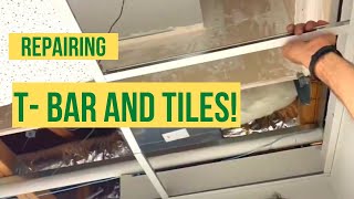 CEILING T-BAR Repair & TILE REPLACEMENT