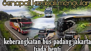 BUS SUMBAR BERPACU DI LINTASAN DANAU SINGKARAK||SENOPATI KEMBALI MENGULAR