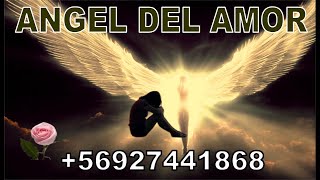 ANGEL DEL AMOR