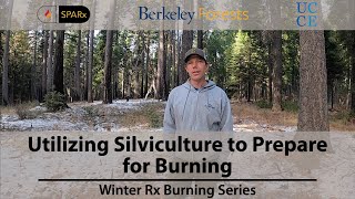 Utilizing Silviculture to Prepare for Burning