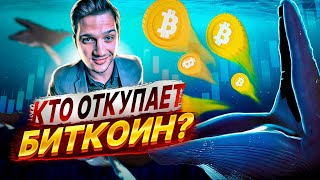 РОСТ ПОСЛЕ КОРРЕКЦИИ. Когда покупать альты?  Анализ рынка