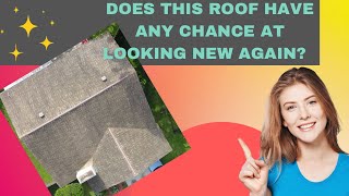 SOFT WASH CLEANING SERVICE ON SHINGLE ROOF