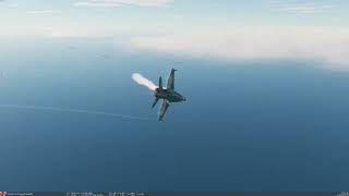 Rhys Dies in DCS World