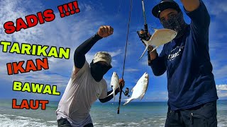 NIAT MANCING IKAN BEBULUS.. KAGET TERNYATA DAPET BONUS..