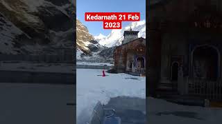 Mere Taranhar Kedarnath #viral #shorts #trending #vlog #reels #shortvideo #kedarnath #shortsvideo