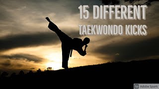 15 Taekwondo Kicks by a 10 YEAR OLD