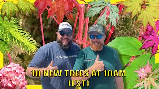 The Wonderful Trees on the 10@10! September 17th w/ Matt and Tim!