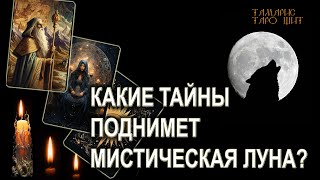 Какие тайны поднимет мистическая луна? 🔥💯🔥 ГАДАНИЕ ОНЛАЙН  РАСКЛАД ТАРО