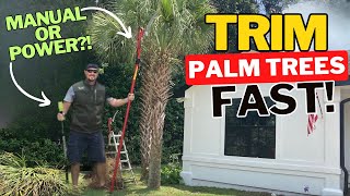 HOW TO Trim a Palm Tree with a Sun Joe Electric Pole Saw or a Manual Pole Saw. Which wins?!?