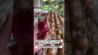 (FULL VIDEO POSTED!) 🧅🎉 How to prep, harvest, cure, and store onions long term