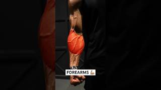 FOREARMS finisher 💪🏽 Add these exercises onto your next arm workout. #shorts