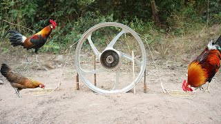 Easy Build simple unique diy wild chicken trap make from old motorcycle & wood