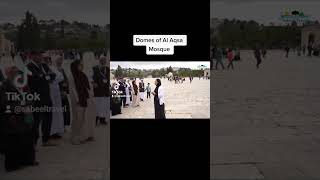 Domes of Al Aqsa Compound