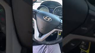 Veloster issues