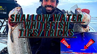 CATCHING Lake Simcoe WHITEFISH in 16ft,14ft, 12ft, 9ft OH MYYY