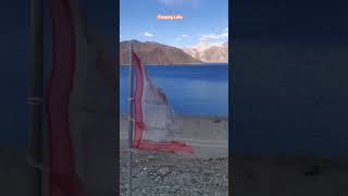 Pangong Lake Ladakh l Pangong Tso l #shorts #viral #shortvideo #ladakh #india#pangonglake