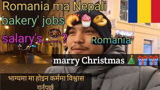 रोमानियामा bakery  को काम, कस्तो छ त आजको daily vlog. merry Christmas सम्पूर्णलाई।