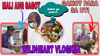 THE WAY I SQUEEZE THE LEMON!PLUS QUESTIONS&ANSWER @wildheartvlogksa7932