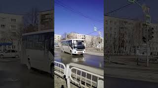 Автобус ПАЗ Вектор Некст по маршруту 3 15 мкр г. Новоуральск (без эффекта)