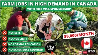 How To get Visa Sponsorship Jobs in Canada