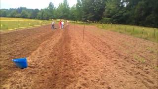 May 12, 2012 Another Garden Update.wmv