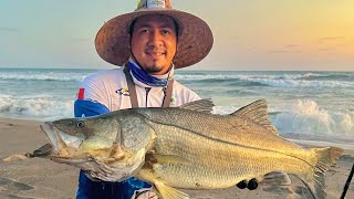 Gran pelea de Robalo🔥//  pesca en playa!